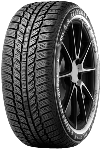 Evergreen EW62 205/55 R16 91 H