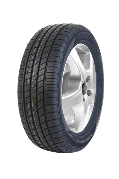 Fortune FSR303 225/55 R18 98 W