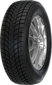 Mastersteel WINTER + W1 195/55 R15 85 H