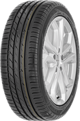 Nokian Tyres Wetproof 1 205/55 R16 91 V