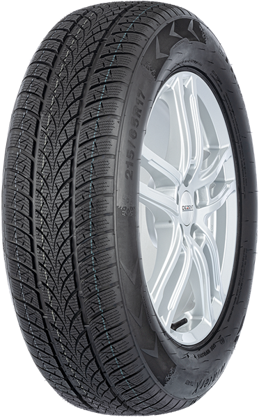 Triangle Winter X TW401 225/45 R17 94 V XL