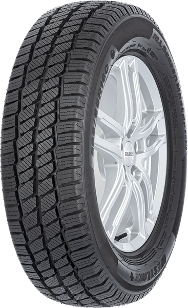 West Lake SW613 4S 225/70 R15 112/110 R C