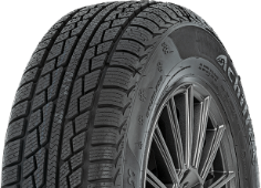 Achilles Winter 101X