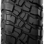 Miniature de la photo 2