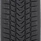 GRIPMAX SureGrip ProWinter 315/35 R21 111 V XL - Miniature de la photo 2
