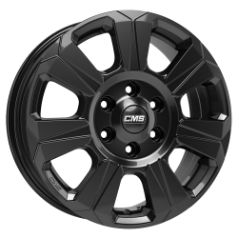 CMS C31 CBG