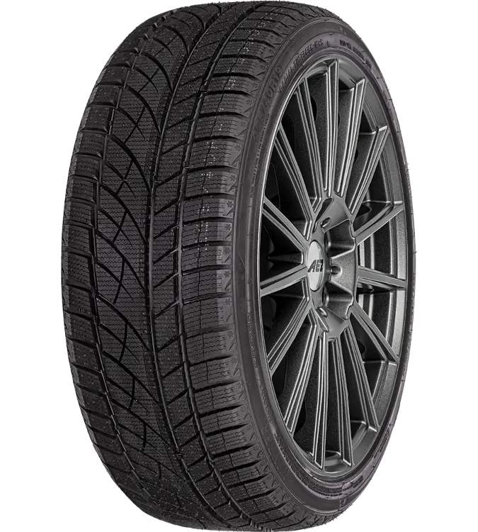 Evergreen EW66 205/55 R16 91 H